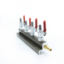 Load image into Gallery viewer, 4 Outlet Air Distributor With Check Valves 5/16"