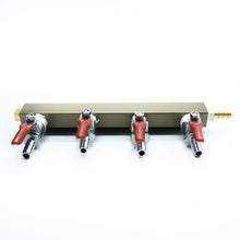 Load image into Gallery viewer, 4 Outlet Air Distributor With Check Valves 5/16"