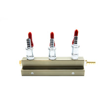 Load image into Gallery viewer, 3 Outlet Air Distributor With Check Valves 5/16"