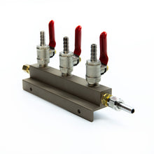 Load image into Gallery viewer, 3 Outlet Air Distributor With Check Valves 1/4"