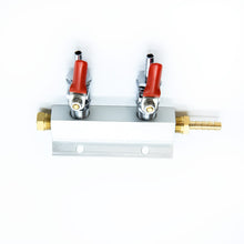 Load image into Gallery viewer, 2 Outlet Air Distributor With Check Valves - 1/4"